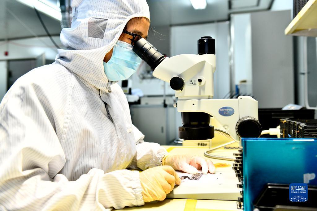 最新赌博技巧